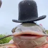 rahcejodbn