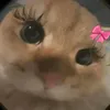 kznluvwu