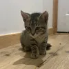 mandybulle10