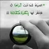 dy53gzhy5ccw0