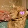 oumaima.el.haylani