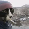 __da_eto_ya__