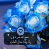 haloch45
