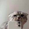 rich_9977