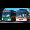 yanmarqus588