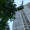mai.ngoc4893