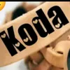abdoulhayoukoda227
