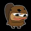 siema.................ty