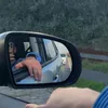 tjay_vdp