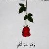 noosamohammed22