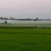khoihuy446