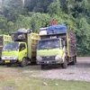 wahyusukmasukma