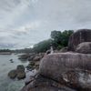iumyyu