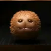 _kiwi_2288