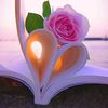 nitida_nook