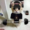 calisthenicsgym3