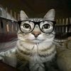 shahriar7._