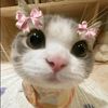 itscheyy_9