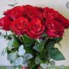 sevdam_34564