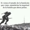 nelsonbarrios269