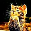frendhy_202