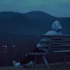 3.h