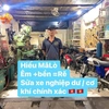 Hiếu Mã Lò