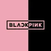 black_pink3566