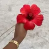rsr_24