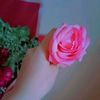 aqsahamid118