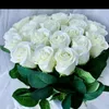 noralovemustapha