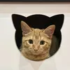 pixlzet