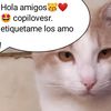 miramistravesuraslocas