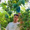 ahmedashour_70