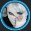 aquiles_sheik7