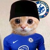 pecintachelsea