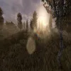 versedie