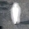 unserx20