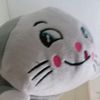 tin.my.com