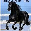 johanagutierrez607