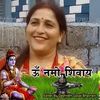 binapaudelpokhrel