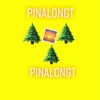 PINALON.GT