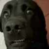 im_a_newperson