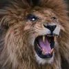 scarfacelion2021