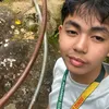 vienskee