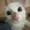 ukemedoibanj