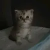 _lnpahhkutee_31