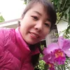 loan.hnh04
