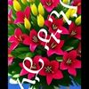 madinatamam155