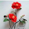 ranjan.chhetri2048